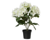 MÛVIRÁG HORTENZIA CSERÉPBEN 46CM WHITE 899781
