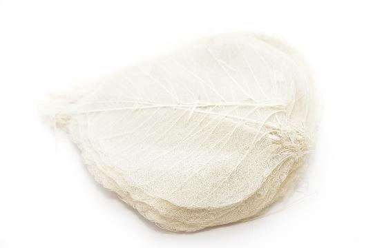 SZÁRAZ FÁTYOL LEVÉL (100DB) FEHÉR