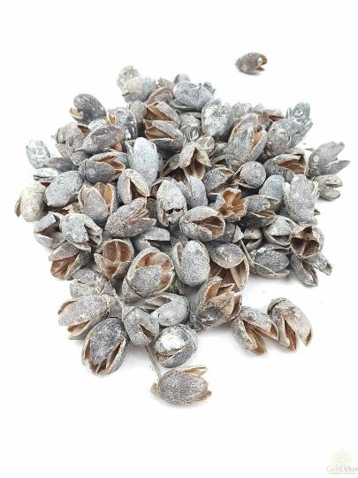 SZÁRAZ BAKULI ZÚZMARÁS