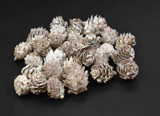 SZÁRAZ VÖRÖSFENYŐ TOBOZ KÍNAI ZÚZMARÁS