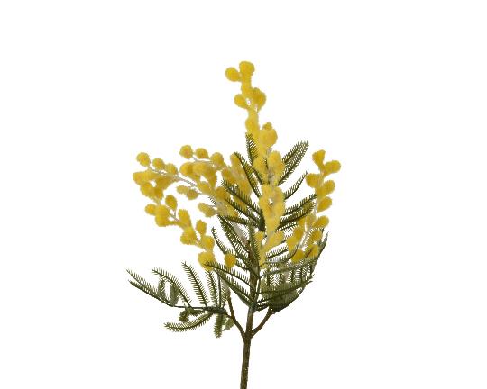 SELYEM MIMOSA 38CM 833128