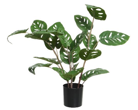 SELYEM MONSTERA CSERÉPBEN 45CM ZÖLD 801314