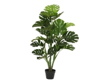 MÛVIRÁG MONSTERA CSERÉPBEN 120CM 899849