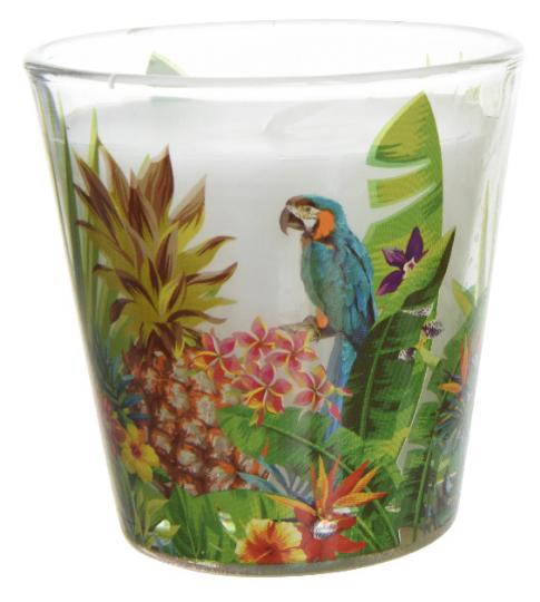 ÜVEG MÉCSESTARTÓ+GYERTYA 6,5X6,5CM 884845 PAPAGÁJOS
