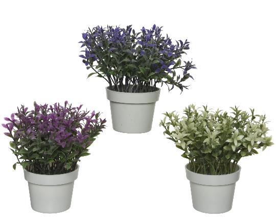 MÛVIRÁG CSEREPES NÖVÉNY 800459