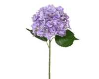 SELYEM HORTENZIA 67CM 899506