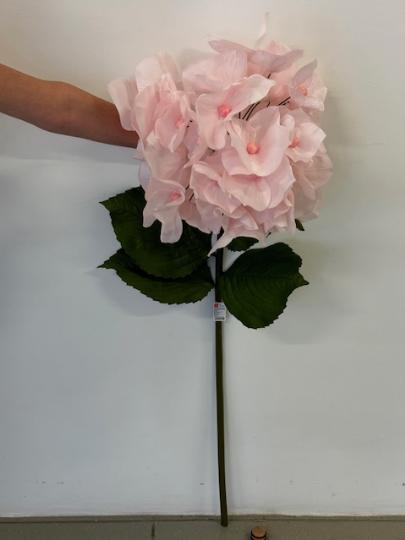 SELYEM HORTENZIA ORIÁS 