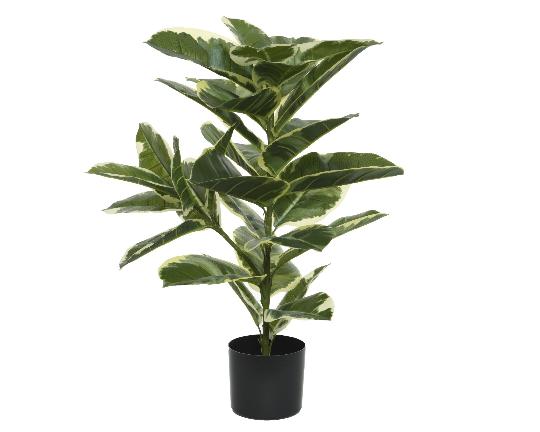 MÛVIRÁG FICUS CSERÉPBEN 76CM 801061