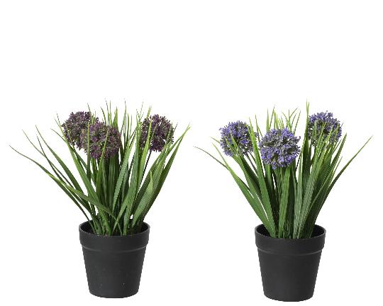 MÛVIRÁG HAGYMAVIRÁG CSERÉPBEN 26CM 833610