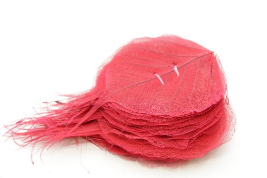 SZÁRAZ FÁTYOL LEVÉL (100DB) PIROS