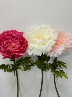 SELYEM PEONIA ÓRIÁS MIX PINK KRÉM RS