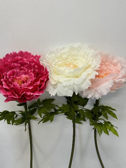 SELYEM PEONIA ÓRIÁS MIX PINK KRÉM RS