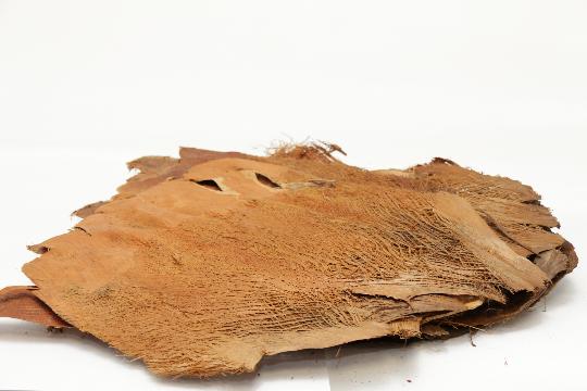 SZÁRAZ PÁLMAROST NATUR