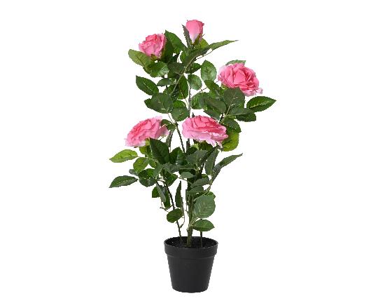 SELYEM RÓZSA CSERÉPBEN 56CM PINK 835092
