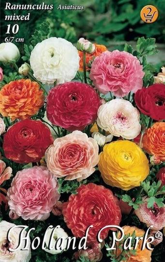VIRÁGHAGYMA RANUNCULUS MIXED X10 2-ES ÁRCSOPORT