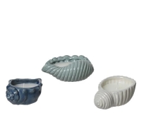 GYERTYA CITRONELLA KAGYLÓBAN 835375