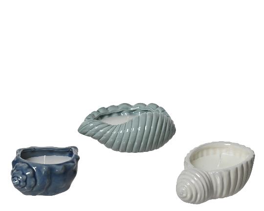 GYERTYA CITRONELLA KAGYLÓBAN 835375