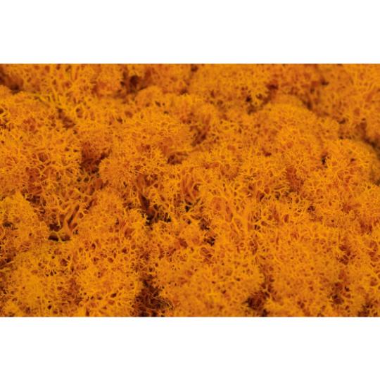 SZÁRAZ ISLANDI MOHA NAGY NARANCS