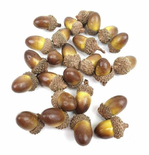 SZÁRAZ MAKK BETÛZŐ 2,5CM BARNA