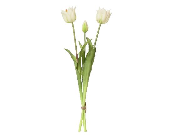 SELYEM TULIPÁN CSOKOR X3 WHITE 899650