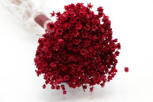 SZÁRAZ GLIXIA BORDÓ