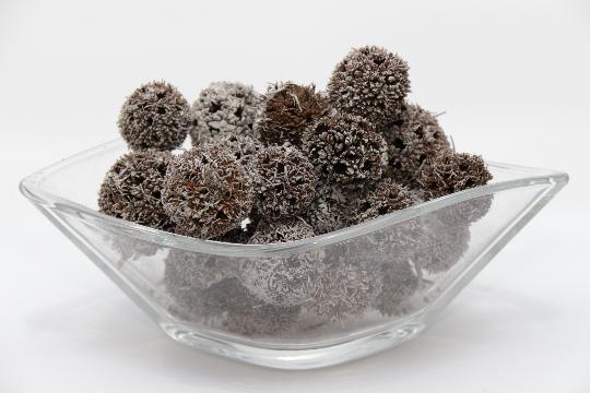 SZÁRAZ ÁMBRAFA TERMÉS HAVAS