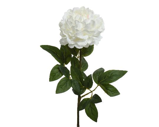 SELYEM PEONIA ÁG 72CM CREAM/FEHÉR  800338