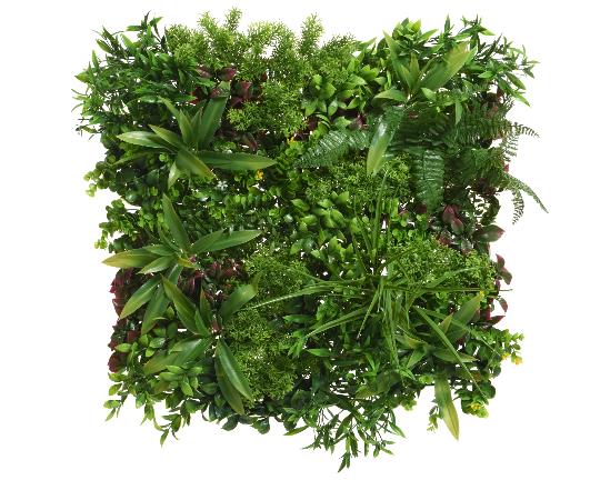 SELYEM ZÖLD NÖVÉNY SZŐNYEG 50X50CM 805075