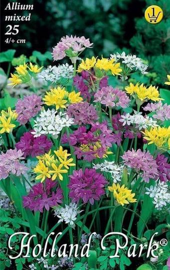 VIRÁGHAGYMA ALLIUM MIXED 1-ES ÁRCSOPORT