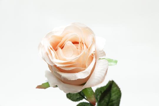 MÜVIRAG ROZSA NYILOTT HOSSZU X1 PUDER  L13