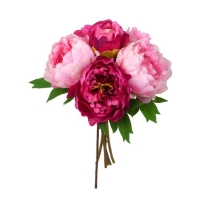 SELYEM PEONIA CSOKOR X6 DD61264