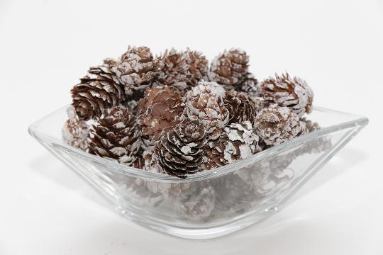 SZÁRAZ VÖRÖSFENYŐ TOBOZ HAVAS