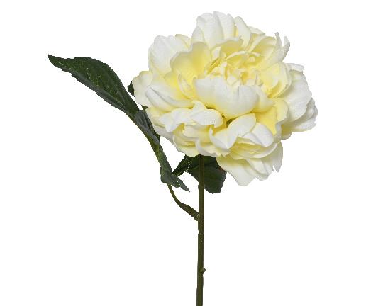 SELYEM PEONIA ÁG 36CM SOFT YELLOW 833143