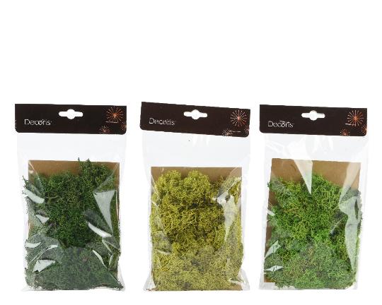 SZÁRAZ MOHA GREEN/COLOURS 523147