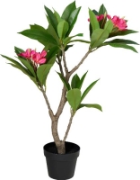 MÛVIRÁG FRANGIPANI CSERÉPBEN 90CM PINK 530828