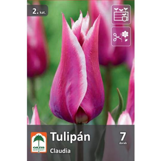 VIRÁGHAGYMA TULIPÁN CLAUDIA X6 2-ES ÁCS.