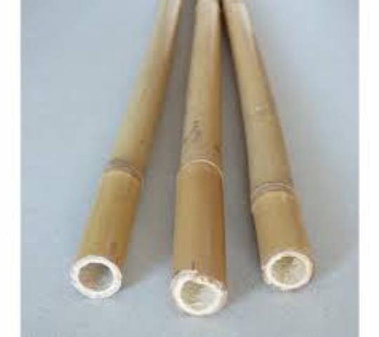 BAMBUSZ NÖVÉNYTÁMASZ 8 -10 MM 120 CM X 5 6040202