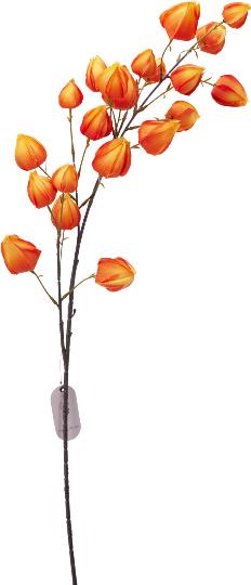 ŐSZI FISÁLIA 97CM 521232