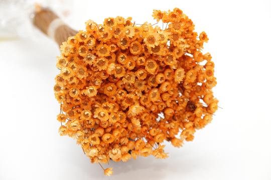 SZÁRAZ GLIXIA BARACK