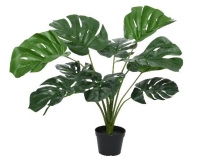 MÛVIRÁG MONSTERA CSERÉPBEN 66CM 803982