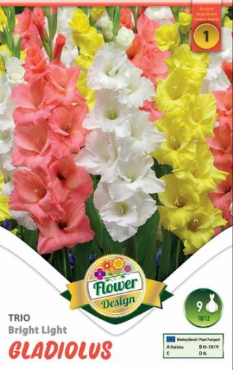 VIRÁGHAGYMA KARDVIRÁG TRIO BRIGHT LIGHT X10 1-ES ÁRCS.