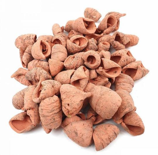 SZARAZ LALI FALFESTETT LAZAC