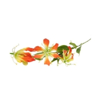 SELYEM GLORIOSA 84X15X10CM NARANCS DD67419