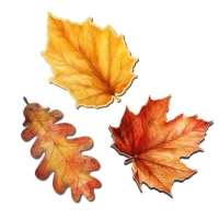 ŐSZI FALEVELEK 6-7CM X3 6811