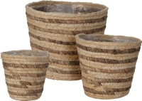 KOSÁR GYÉKÉNY 21CM III. 072964