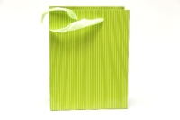 DISZTASAK 18X23CM CSIKOS ZÖLD