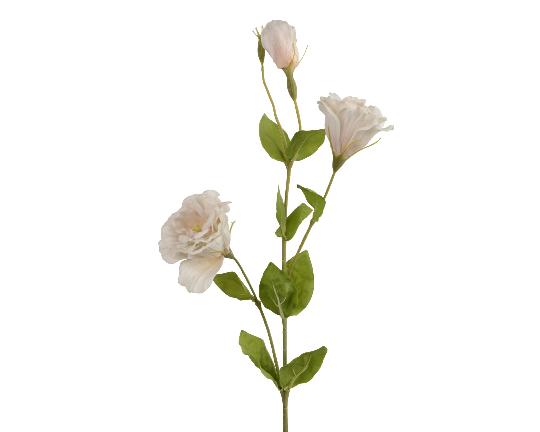 SELYEM LISIANTHUS 64CM CREAM 891230