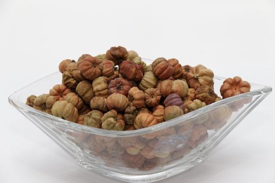 SZÁRAZ LILIPUTI TÖK NATUR