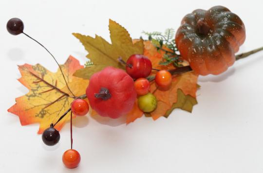 ŐSZI TÖKÖS ÁG 26751