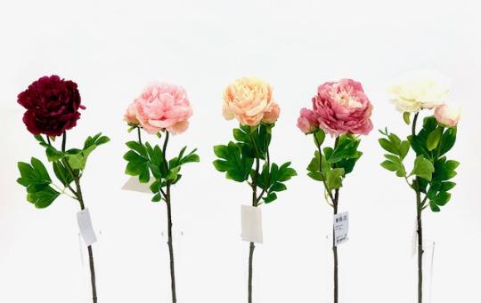 SELYEM PEONIA SZÁLAS MIX 383839917436